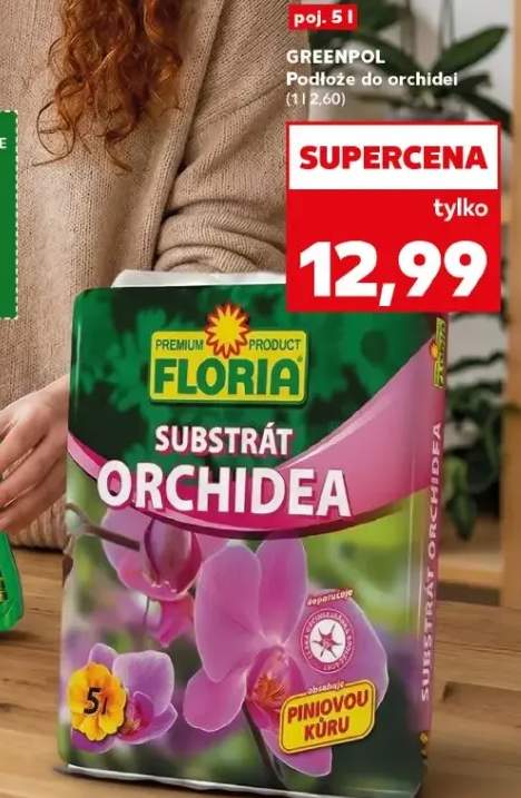 Osłonka ceramiczna Escalera do storczyków różne kolory