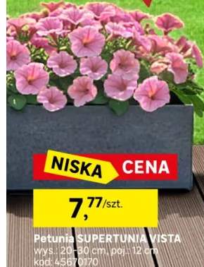 PetUnia SupertUnia Vista mix 20 - 30 cm