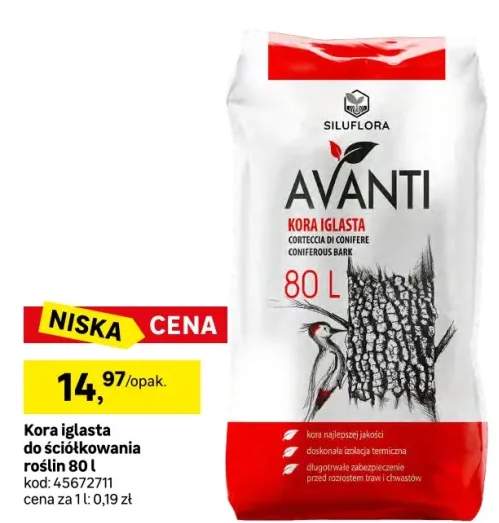 Kora iglasta 80l Avanti