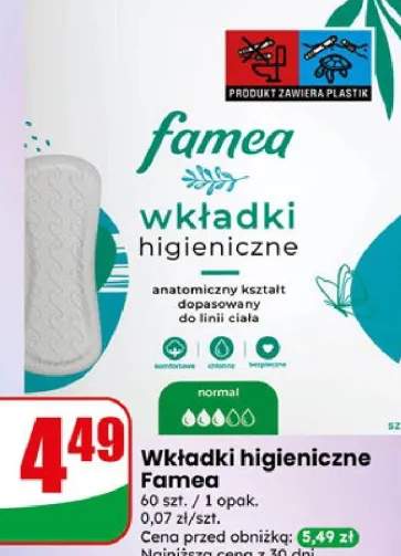 Wkładki higieniczne Famea 60szt.