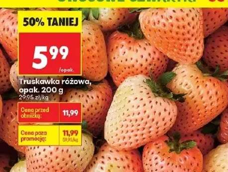Truskawka różowa