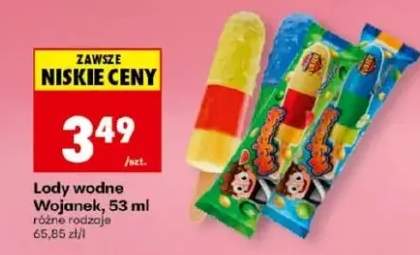 Lody wodne Wojanek