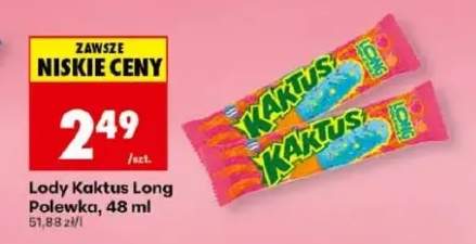Lody Kaktus Long Polewka