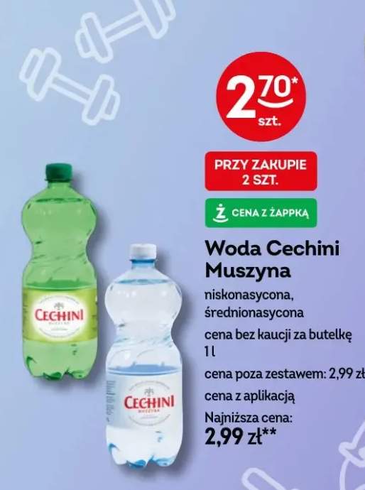 Woda Cechini Muszyna