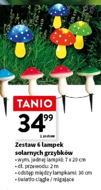 Zestaw 6 lampek solarnych grzybków
