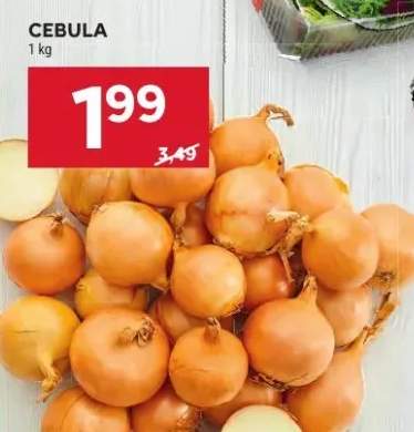 Cebula