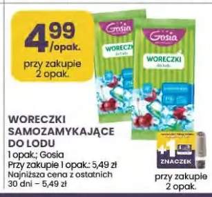 Woreczki Samozamykające do Lodu Gosia