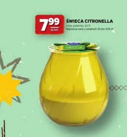 Świeca citronella czas palenia 25h