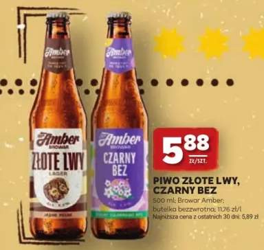 Piwo Amber Złote Lwy