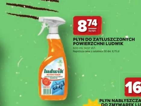Płyn do zatłuszczonych powierzchni Ludwik Active Foam