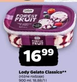 Lody Gelato Classico Forest Fruit