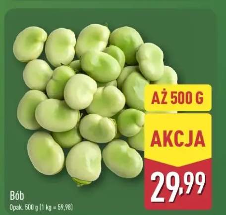 Bób