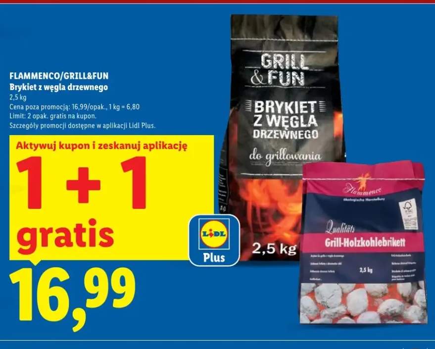 Brykiet z węgla drzewnego Grill&Fun