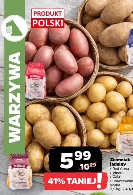 Ziemniak jadalny Red Anna polski