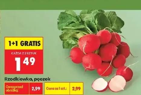 Rzodkiewka pęczek
