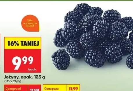 Jeżyny