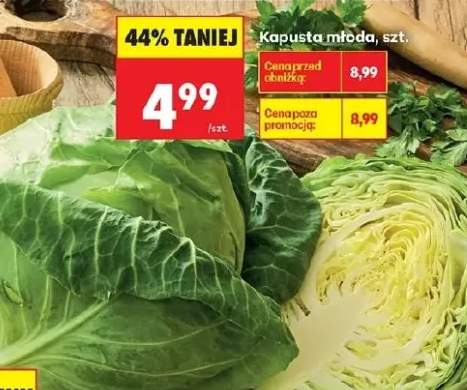 Kapusta młoda