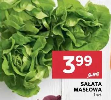 Sałata masłowa