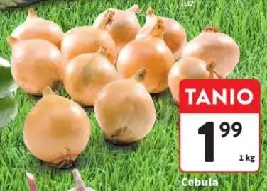 Cebula luz