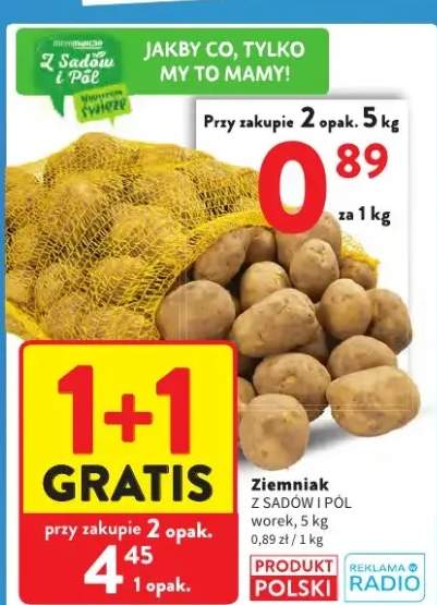 Ziemniak Z Sadów i Pól worek