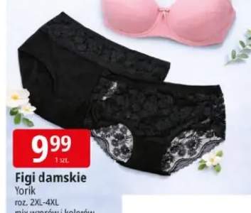 Figi damskie Yorik roz. 2XL-4XL