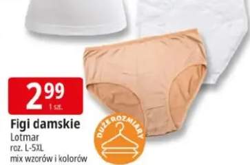 Figi damskie Lotmar roz. L-5XL