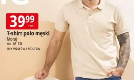 T-shirt polo męski Moraj