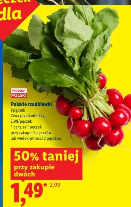 Rzodkiewki polskie
