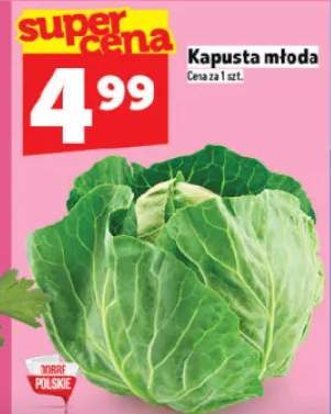 Kapusta młoda