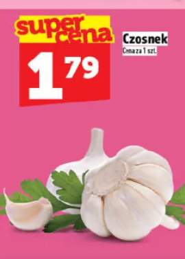 Czosnek