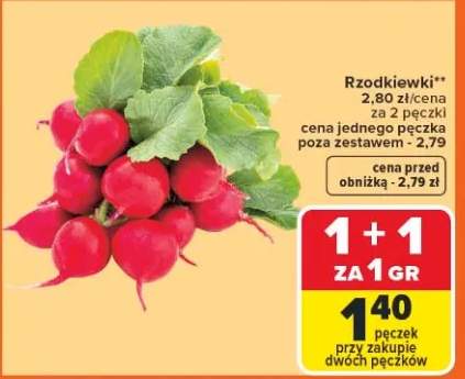 Rzodkiewki