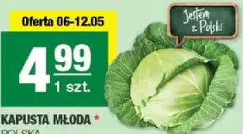 Kapusta młoda polska