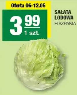 Sałata lodowa Hiszpania