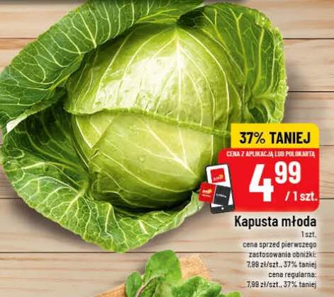 Kapusta młoda