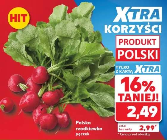 Rzodkiewka polska pęczek