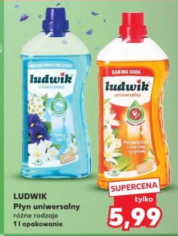 Płyn uniwersalny Ludwik