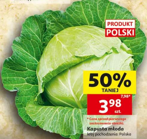 Kapusta młoda polska