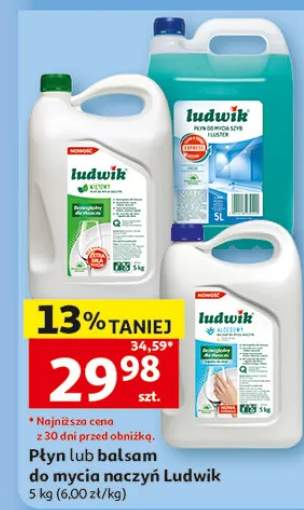 Balsam do mycia naczyń Ludwik