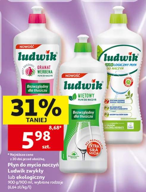 Płyn do mycia naczyń Ludwik ekologiczny z cytrusów i zielonej herbaty