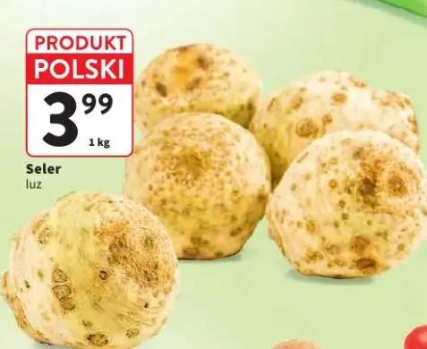 Seler luz polski