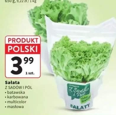 Sałata masłowa Z Sadów i Pól
