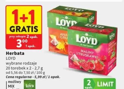 Herbata Loyd