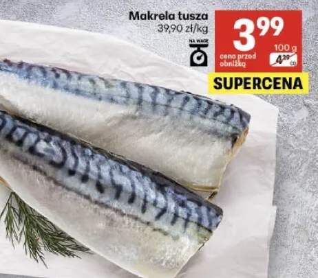Makrela tusza