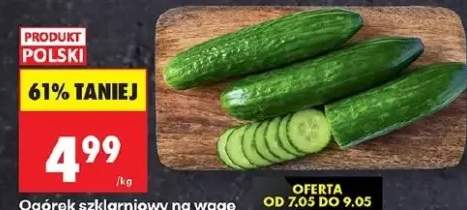 Ogórek szklarniowy na wagę