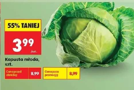 Kapusta młoda