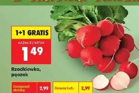 Rzodkiewka pęczek