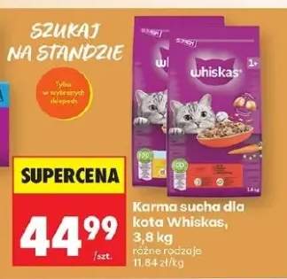 Karma sucha dla kota Whiskas