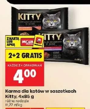 Karma dla kotów w saszetkach Kitty z łososiem i kurczakiem
