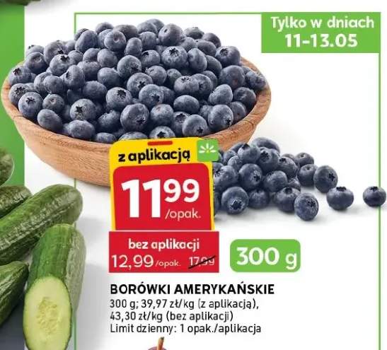Borówki amerykańskie