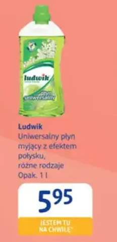 Uniwersalny płyn myjący z efektem połysku Ludwik